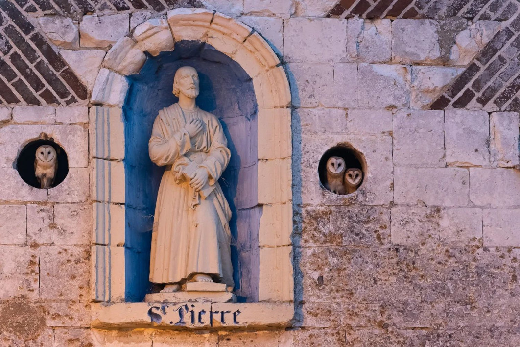 &quot;Sainte Trinité&quot;, fot. Benoit Henrion (France) - Bronze Award, Urban Birds | Bird Photographer of the Year