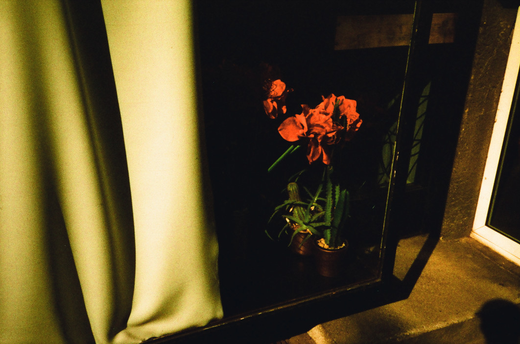 Konica Big Mini BM-302 + Harman Phoenix 200