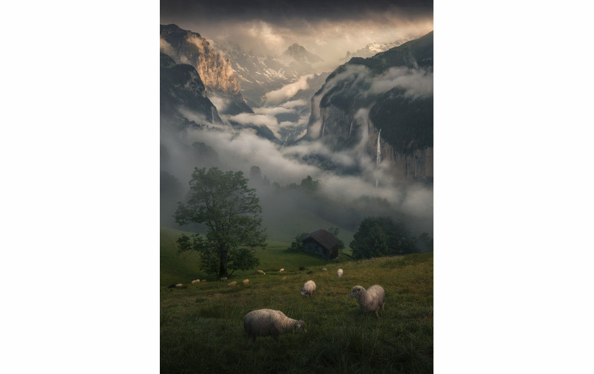 fot. Max Rive Inhabitants of Alps, 2. miejsce w kat. Portfolio / 2021 International Landscape Photographer of the Year