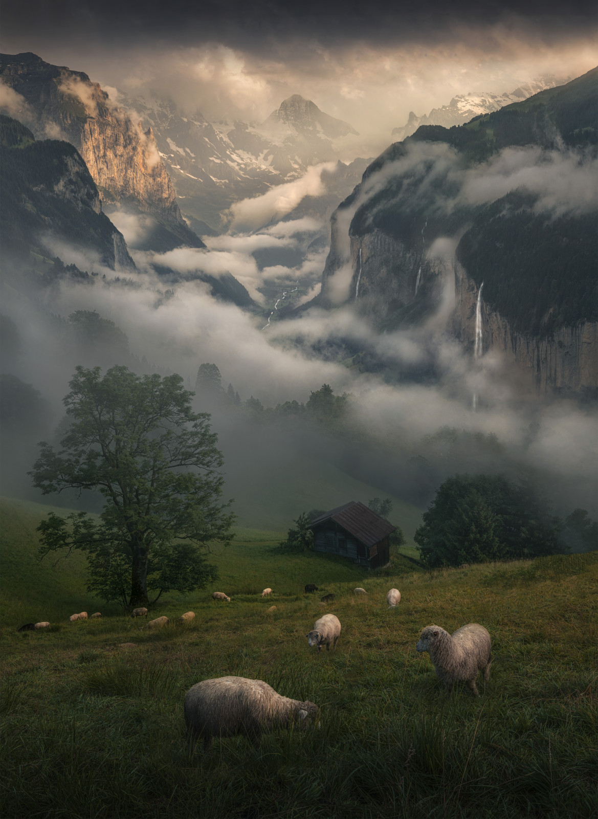 fot. Max Rive "Inhabitants of Alps", 2. miejsce w kat. Portfolio / 2021 International Landscape Photographer of the Year