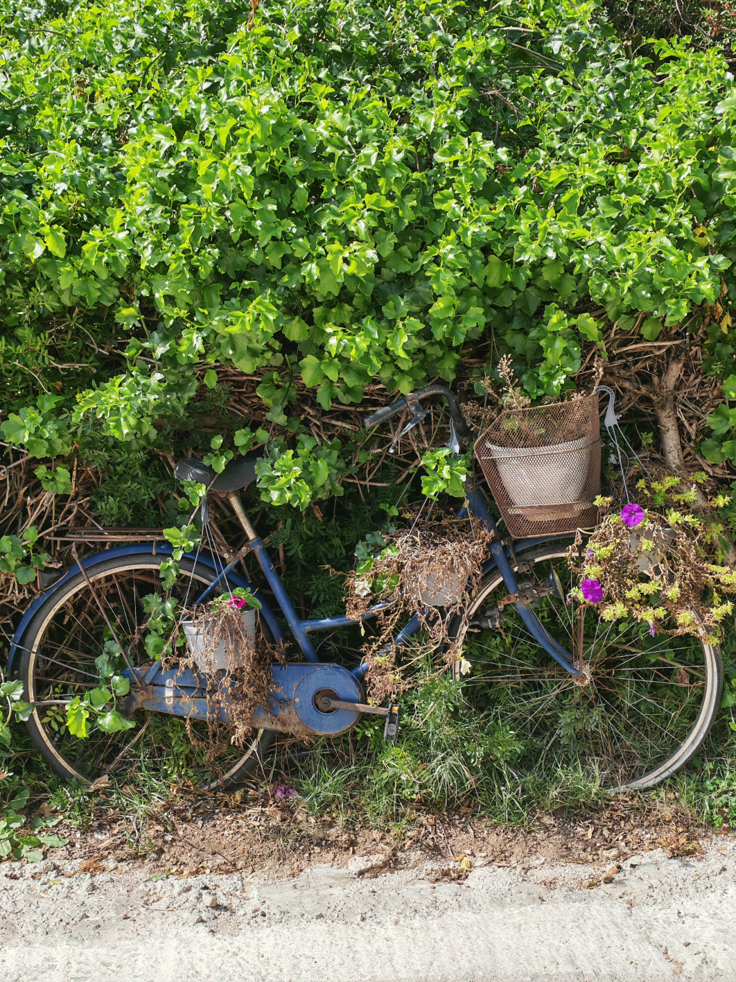 1/760 s, f/1.9, ISO 50, aparat główny