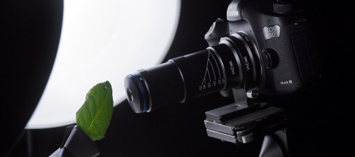 Obiektyw do zadań specjalnych, czyli Venus Optics Laowa 25 mm f/2.8 2.5-5X Ultra Macro i powiększenie 5:1 w praktyce