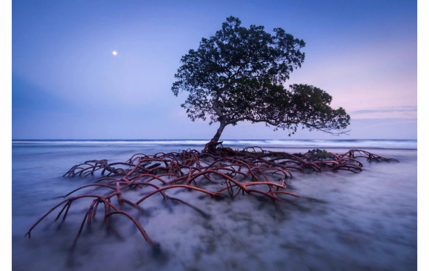 Strażnik Plaży, fot. Mac Stone, USA