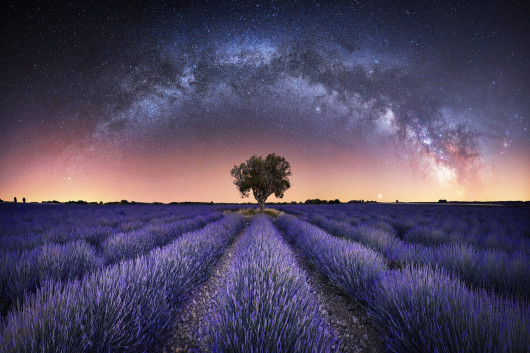 fot. Stefan Liebermann, Harmony / Astronomy Photographer of the Year 2021
