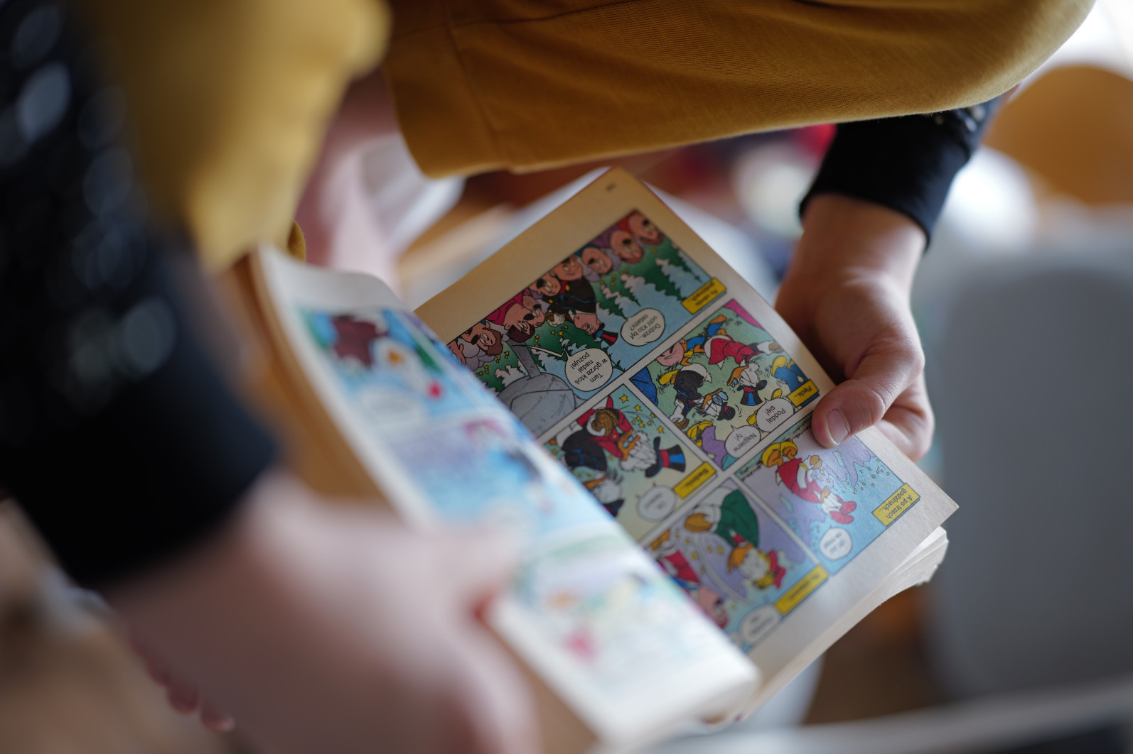 1/100 s, f/1.2, ISO 100, 50.0 mm