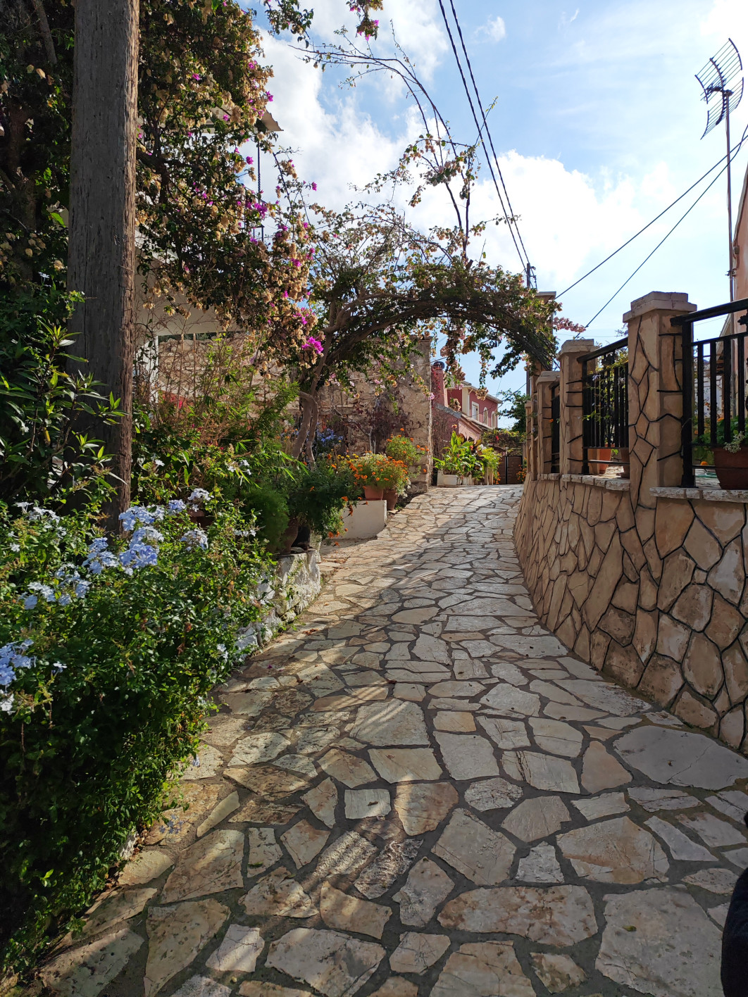 1/1400 s, f/1.9, ISO 50, aparat główny