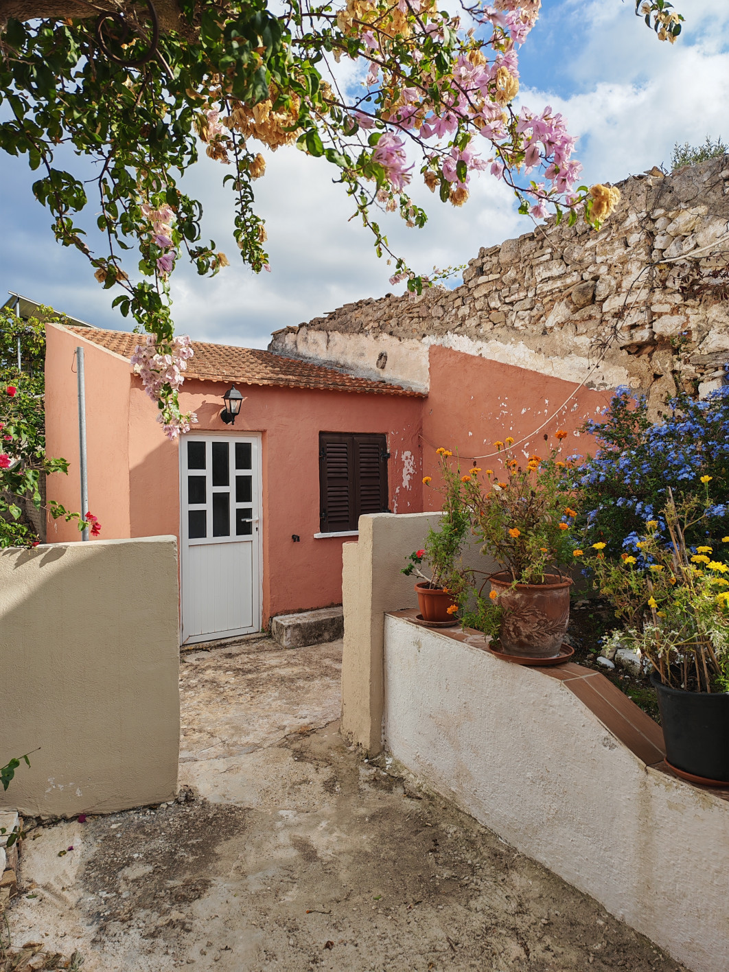 1/910 s, f/1.9, ISO 50, aparat główny