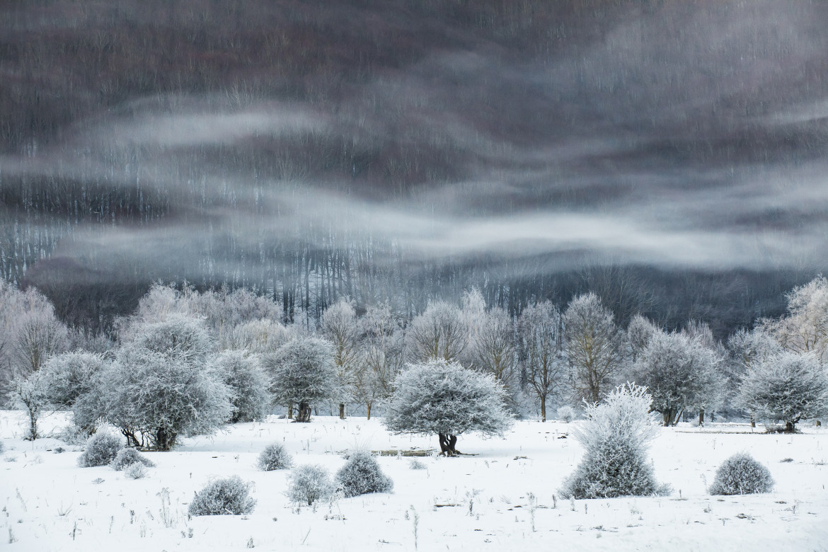 fot. Mimmo Salierno, "The Winter of the Lake", The Snow & Ice Award / 2021 International Landscape Photographer of the Year