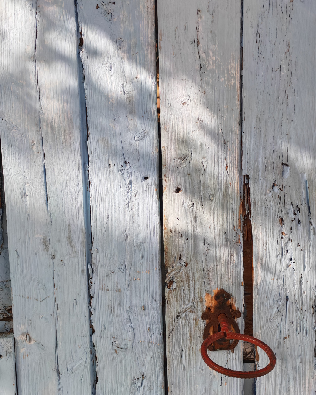 1/500 s, f/2.8, ISO 500, aparat główny