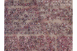 © George Steinmetz (National Geographic), "Feeding China" - II miejsce w kategorii CONTEMPORARY ISSUES STORIES / Szybko rosnące dochody w Chinach doprowadziły do zmiany diety i zwiększenia popytu na mięso, nabiał i przetworzoną żywność. Przemysł spożywczy i rolny znajduje się pod presją.