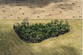 © Daniel Beltrá, "Amazon: Paradise Threatened" - III miejsce w kategorii ENVIRONMENT STORIES / Wylesianie (Amazonia, Brazylia). Po odejściu od bumu w 1995 i 2004 roku tempo wylesiania gwałtownie wzrosło w 2016 roku.