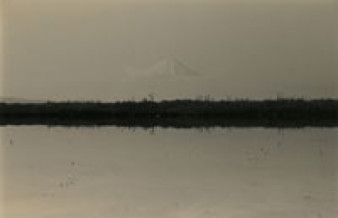 Wystawa Masao Yamamoto w krakowskiej Galerii ZPAF i S-ka