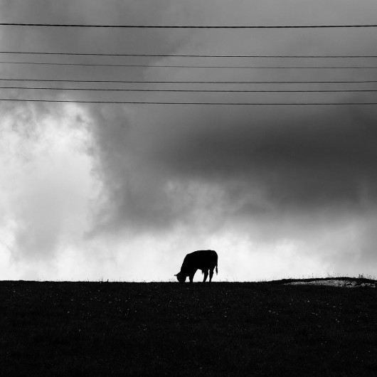 fot. Daniel Wencel, wyróżnienie w konkursie Mobile Photography Awards 2022