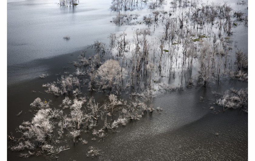 © Daniel Beltrá, Amazon: Paradise Threatened - III miejsce w kategorii ENVIRONMENT STORIES / Wylesianie (Amazonia, Brazylia). Po odejściu od bumu w 1995 i 2004 roku tempo wylesiania gwałtownie wzrosło w 2016 roku.