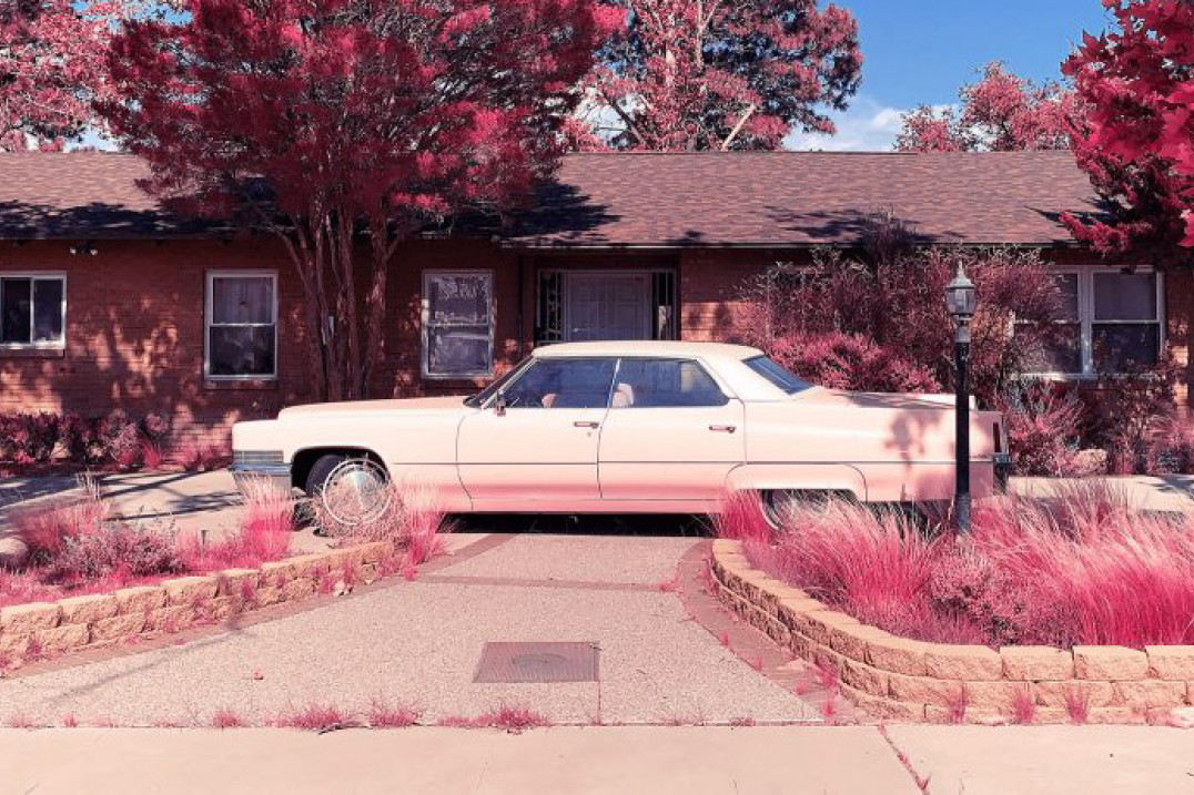 Oto zwycięzcy iPhone Photography Awards 2022. Polacy wśród laureatów