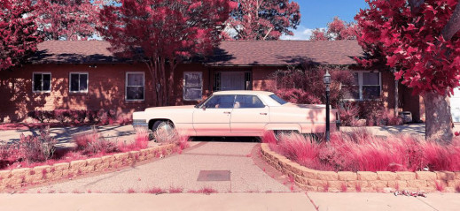 Oto zwycięzcy iPhone Photography Awards 2022. Polacy wśród laureatów