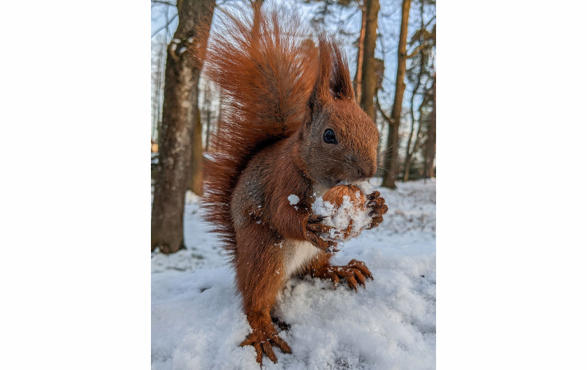 fot. Jarek Bryla, wyróżnienie w konkursie Mobile Photography Awards 2022