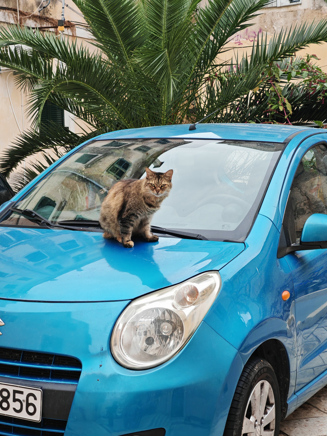 1/300 s, f/2.4, ISO 160, aparat tele