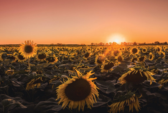 Przełącz się na tryb manualny i sprawdź, jak korzystać z niego w praktyce