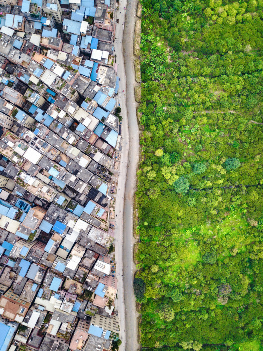 fot. Wen Lu, wyróżnienie w konkursie Sony World Photography Awards 2020