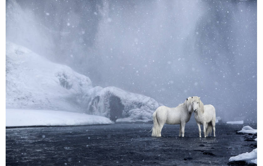 fot. Drew Doggett In the Realm of Legends”