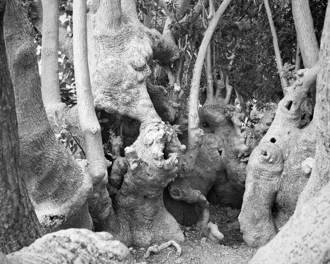 1/370 s, f/2.8, ISO 2000, aparat główny