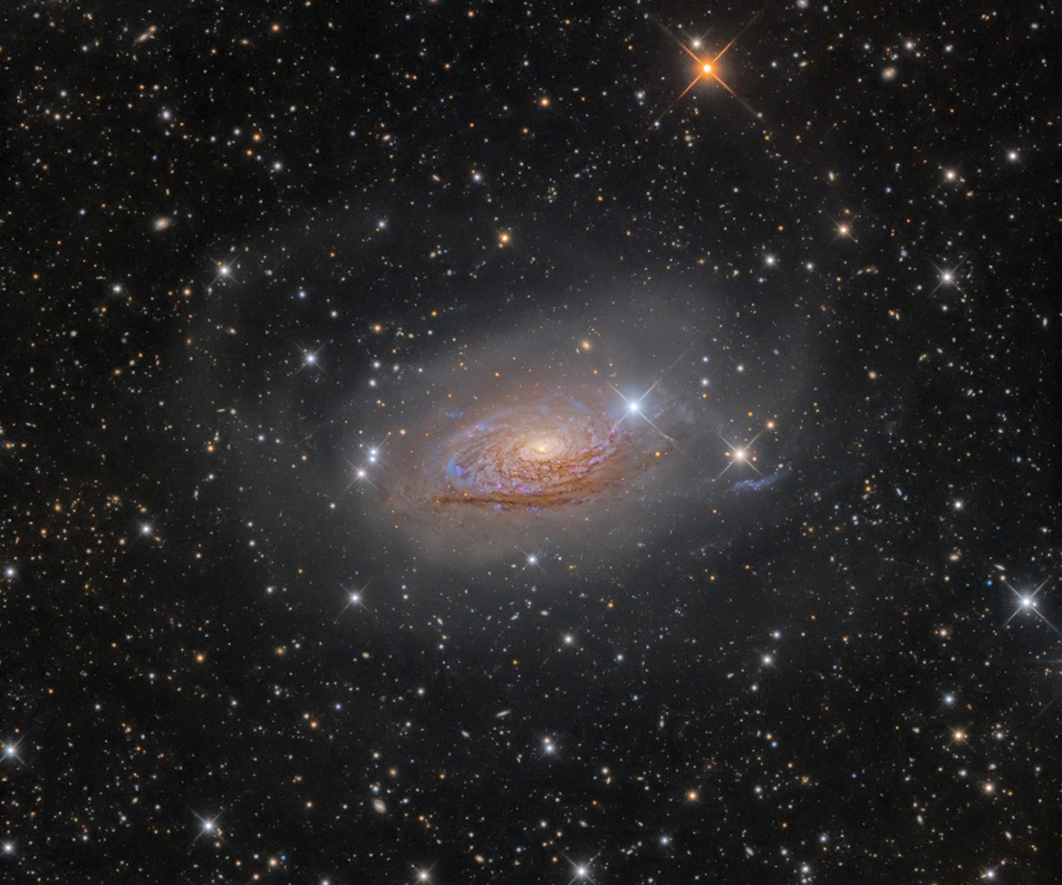 Oleg Bryzgalov - I miejsce w kategorii "Galaxies", zdjęcie przedstawia Messier 63 (strumień gwiazdy i Galaktykę Słonecznika)