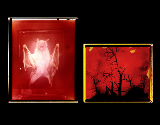 World Press Photo 2024 - Open Format