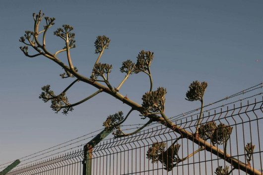 Fot. Nicolas Brunetti, z cyklu Inshallah, nagroda w kat. Patricia D. Richards Legacy Award / Urban Photo Awards 2025