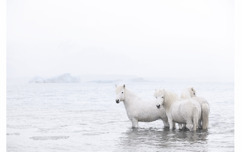 fot. Drew Doggett In the Realm of Legends”