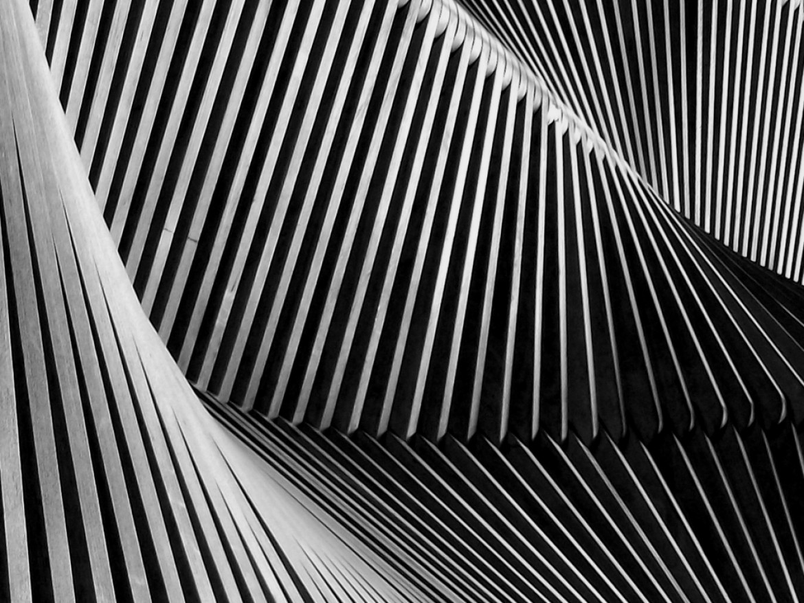 fot. Iwona Czerniak, wyróżnienie w kategorii Abstract / Monochrome Awards 2019