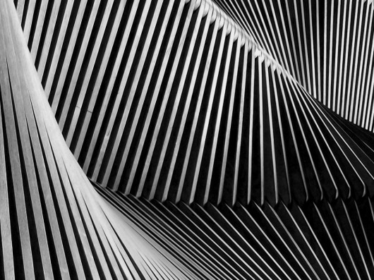 fot. Iwona Czerniak, wyróżnienie w kategorii Abstract / Monochrome Awards 2019