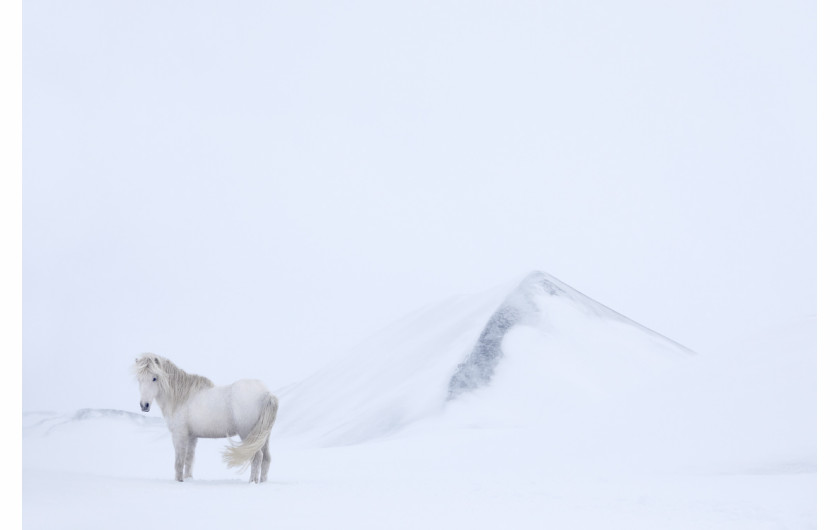 fot. Drew Doggett In the Realm of Legends”