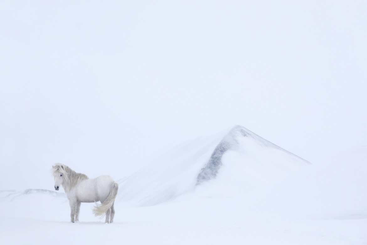 fot. Drew Doggett "In the Realm of Legends”