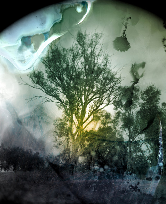 fot. Aletheia Casey, A Lost Place, najlepszy projekt multimedialny w regionie Azji Południowo-wschodniej i Oceanii / World Press Photo 2024Uderzająca dywagacja na temat rodzinnego kraju fotografa, która łączy kolonialną przeszłość z niepewną przyszłością klimatyczną. Projekt przedstawia serię zmanipulowanych obrazów, przekazujących osobiste uczucia frustracji i przerażenia artysty w odpowiedzi na niszczycielskie pożary w stanie Nowa Południowa Walia w Australii w latach 2019-2020. Pożary te były jednymi z największych, jakie kiedykolwiek odnotowano w tym kraju. Szacuje się, że ich intensywność będzie się zwiększać w miarę dalszego ocieplania klimatu.

Fotograf eksperymentuje z różnymi środkami wyrazu. W niektórych przypadkach nakłada farbę lub tusz bezpośrednio na powierzchnię odbitek, a następnie selektywnie je wydrapuje. Efekt przekształca idylliczne krajobrazy w obrazy, które przedstawiają zarówno zewnętrzne zniszczenia dokonane przez pożary, jak i emocjonalną reakcję artystki. 