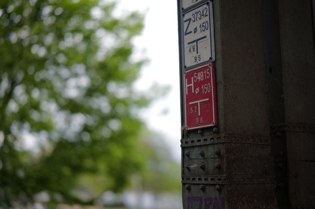 1/500 s, f/1.2, ISO 100, 50.0 mm
