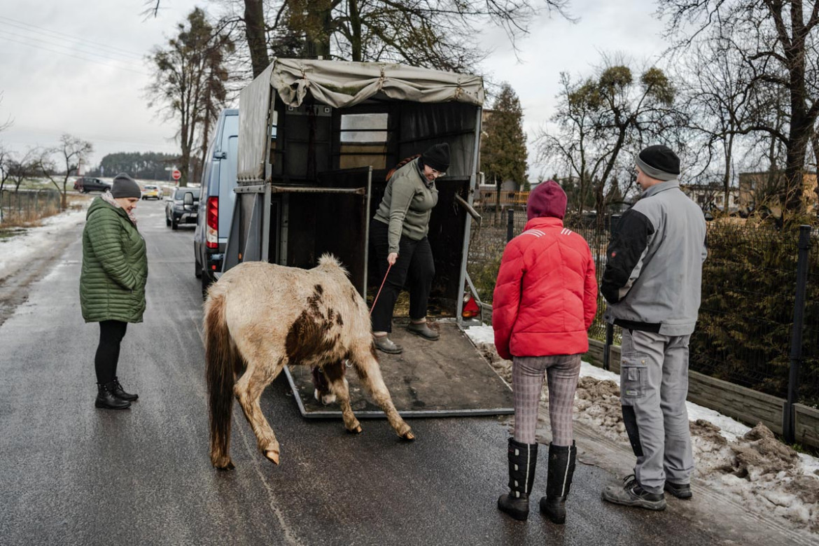 Fot. Marcin Urbanowicz, ,,Falko”. Fundacja Falko i Przyjaciele w Wierzbiu ratuje chore konie i porzucone psy. Działa dzięki zbiórkom internetowym, jednak stale brakuje środków na leczenie i utrzymanie zwierząt. Malwina Sobolewska wraz ze schorowaną matką i kilkoma wolontariuszami opiekuje się obecnie dziesięcioma końmi i jedenastoma psami.<br></br><br></br>2. nagroda w kat. Documentary Project / Grand Press Photo 2025