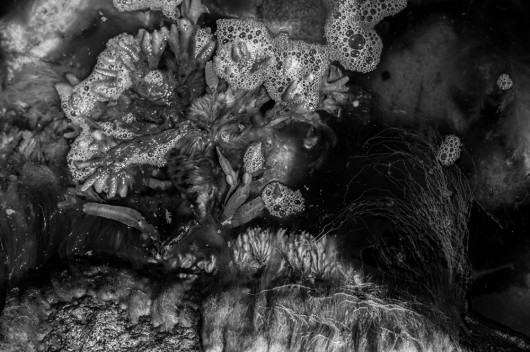 fot. Krzysztof Stryj, wyróżnienie w kategorii Abstract / Monochrome Awards 2019