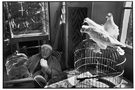 FRANCJA. Alpes-Maritimes. Vence. Luty 1944. Francuski malarz Henri MATISSE w swoim domu, "Le Reve"  Henri Cartier-Bresson / Magnum Photos  / EK Pictures