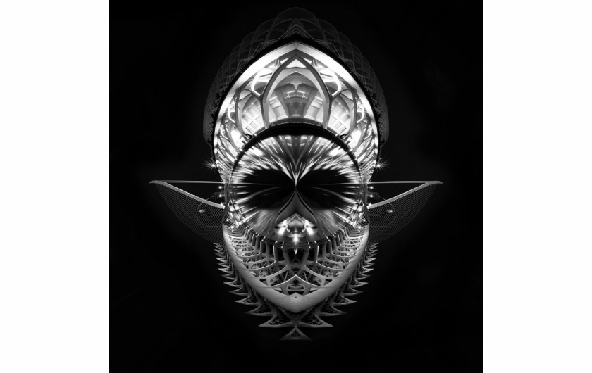 fot. Marcin Bawiec, wyróżnienie w kategorii Abstract / Monochrome Awards 2019