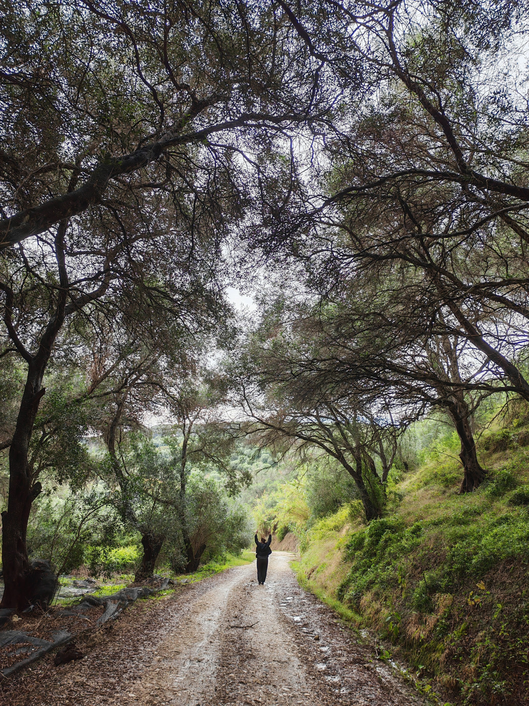 1/160 s, f/1.9, ISO 100, aparat główny