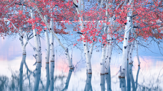 Potencjał natury jest niewyczerpany. Najlepsze zdjęcia krajobrazowe z International Landscape Photographer of the Year 2023