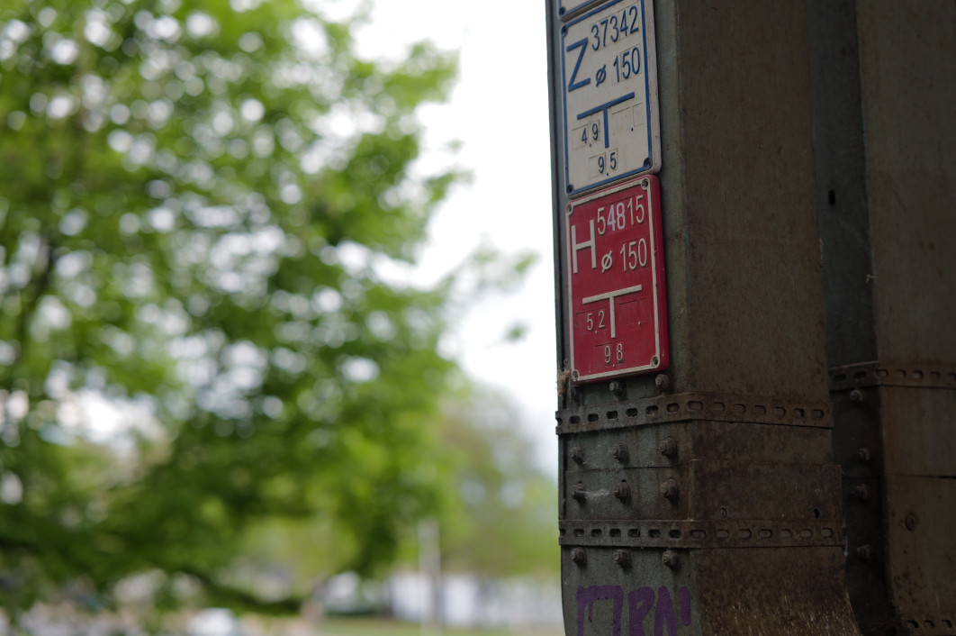 1/200 s, f/2, ISO 100, 50.0 mm