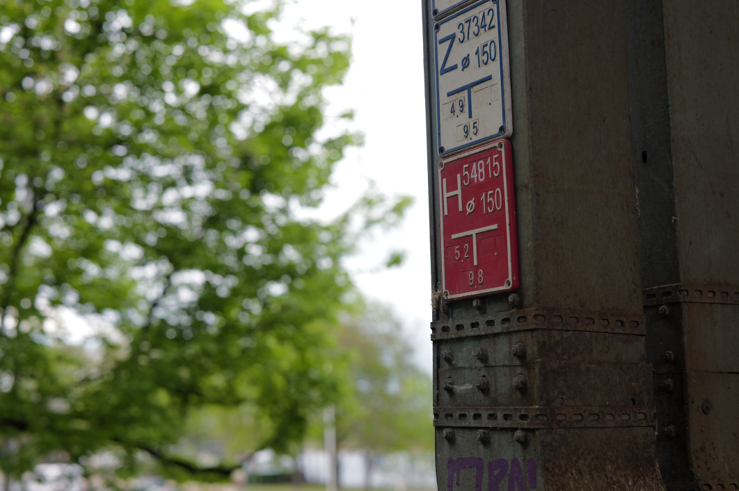 1/100 s, f/2.8, ISO 100, 50.0 mm