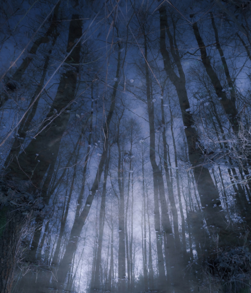 Fot. Katarzyna Serkowska, wyróżnienie  / Fine Art Photography Awards 2026