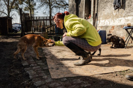 Fot. Marcin Urbanowicz, ,,Falko”. Fundacja Falko i Przyjaciele w Wierzbiu ratuje chore konie i porzucone psy. Działa dzięki zbiórkom internetowym, jednak stale brakuje środków na leczenie i utrzymanie zwierząt. Malwina Sobolewska wraz ze schorowaną matką i kilkoma wolontariuszami opiekuje się obecnie dziesięcioma końmi i jedenastoma psami.<br></br><br></br>2. nagroda w kat. Documentary Project / Grand Press Photo 2025