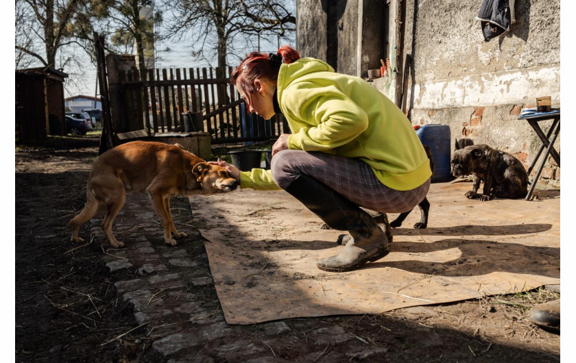Fot. Marcin Urbanowicz, ,,Falko”. Fundacja Falko i Przyjaciele w Wierzbiu ratuje chore konie i porzucone psy. Działa dzięki zbiórkom internetowym, jednak stale brakuje środków na leczenie i utrzymanie zwierząt. Malwina Sobolewska wraz ze schorowaną matką i kilkoma wolontariuszami opiekuje się obecnie dziesięcioma końmi i jedenastoma psami.2. nagroda w kat. Documentary Project / Grand Press Photo 2025
