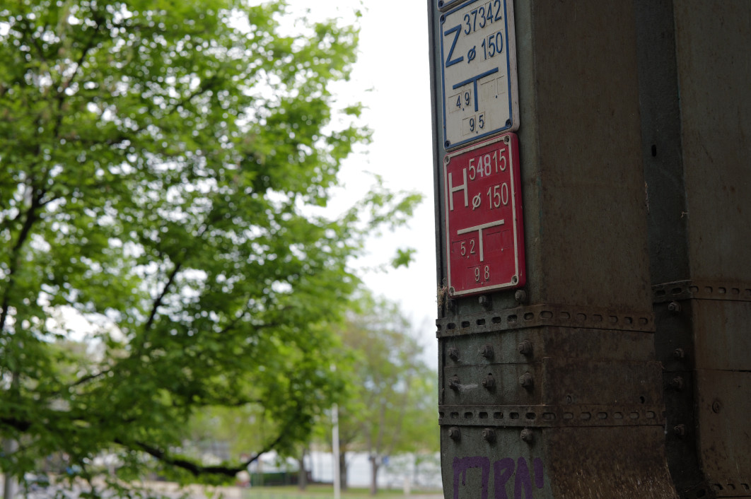 1/100 s, f/5.6, ISO 400, 50.0 mm