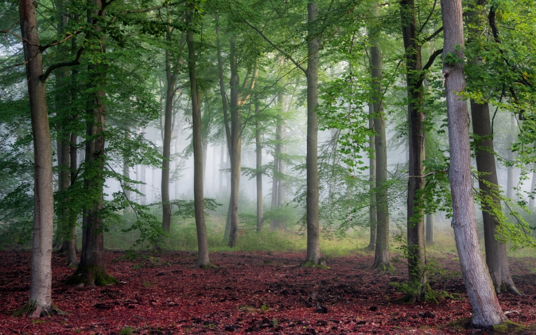 Fot. Łukasz Maliszewski, wyróżnienie  / Fine Art Photography Awards 2026