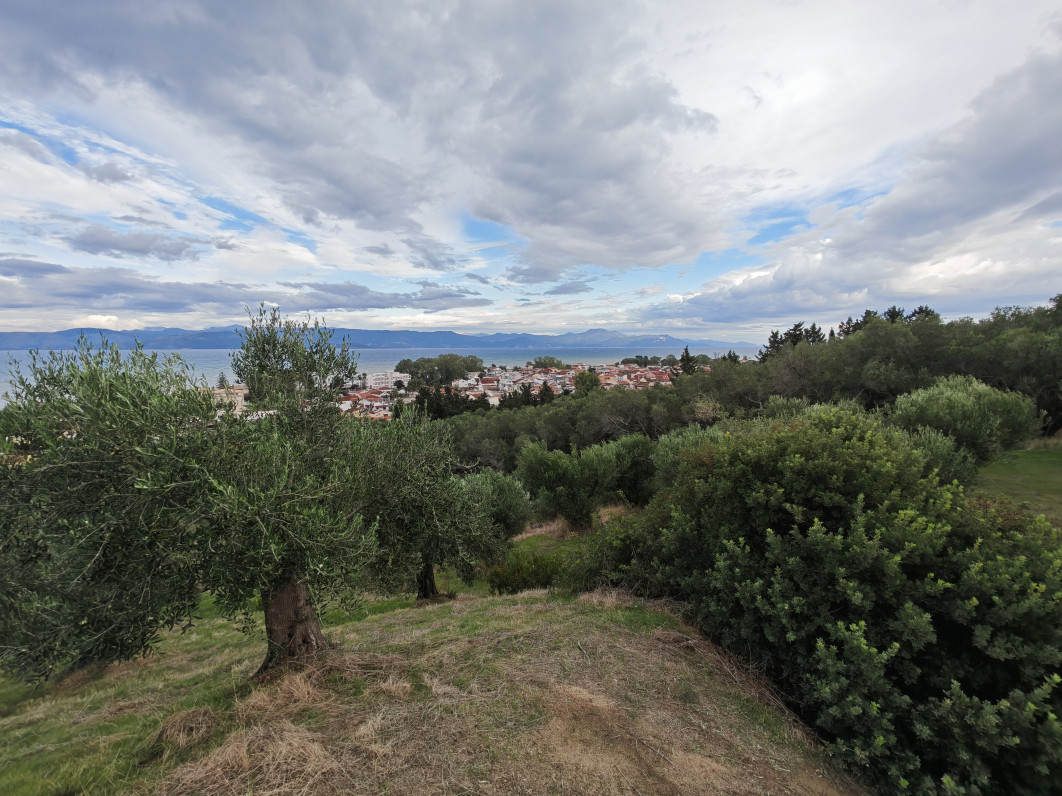 1/560 s, f/2.2, ISO 50, aparat szerokokątny